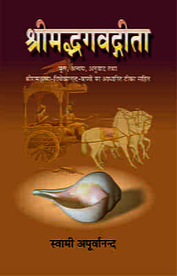 H108 Srimad Bhagwad Gita (श्रीमद्भगवद्गीता : हिन्दी टीकासहित)